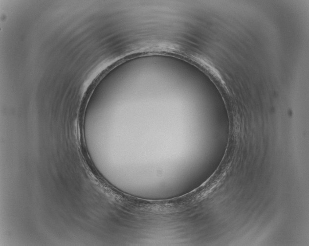 X0000072510936200608041503