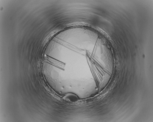 X0000072510937200608041503