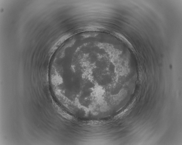 X0000072510938200608041503