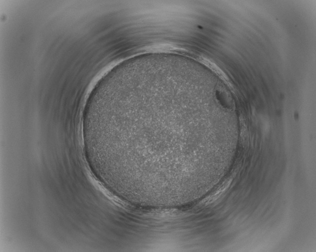 X0000072510939200608041503