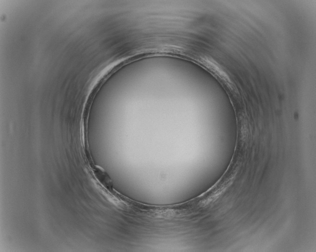 X0000072510940200608041503