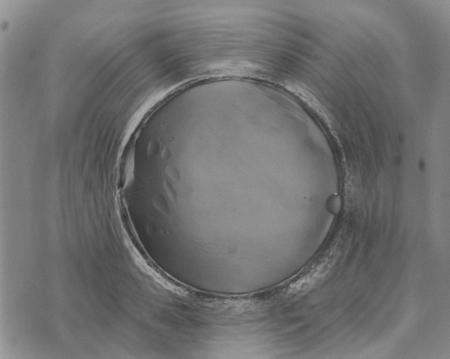 X0000072510941200608041503