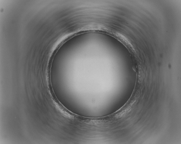 X0000072510942200608041503