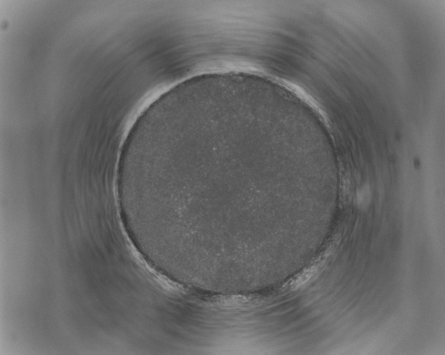 X0000072510943200608041503