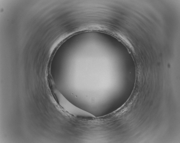 X0000072510944200608041503