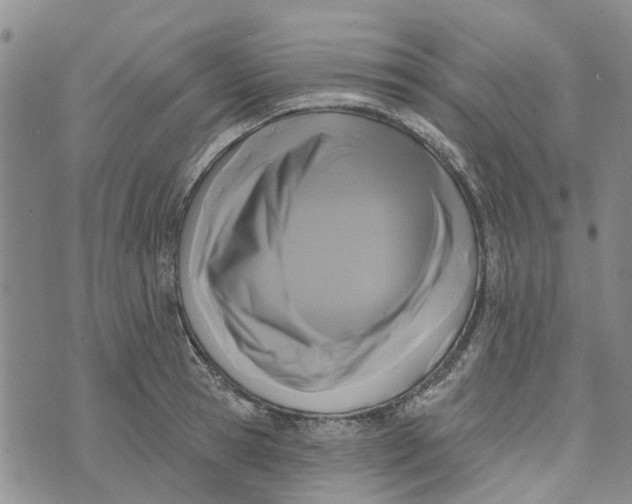 X0000072510945200608041503