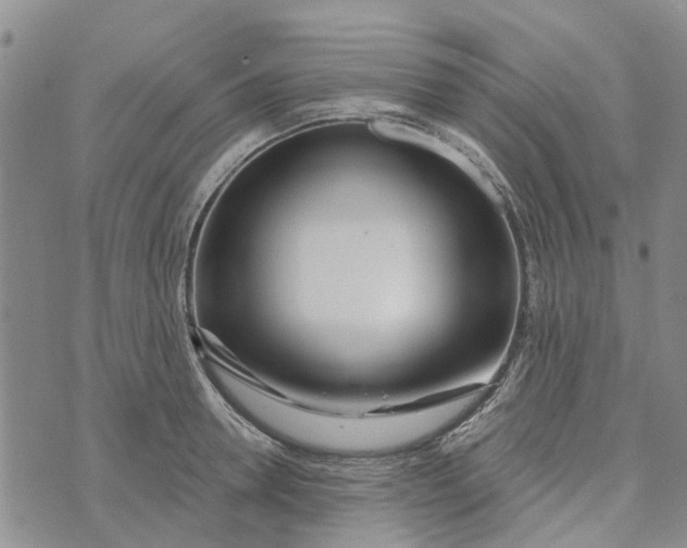 X0000072510946200608041503