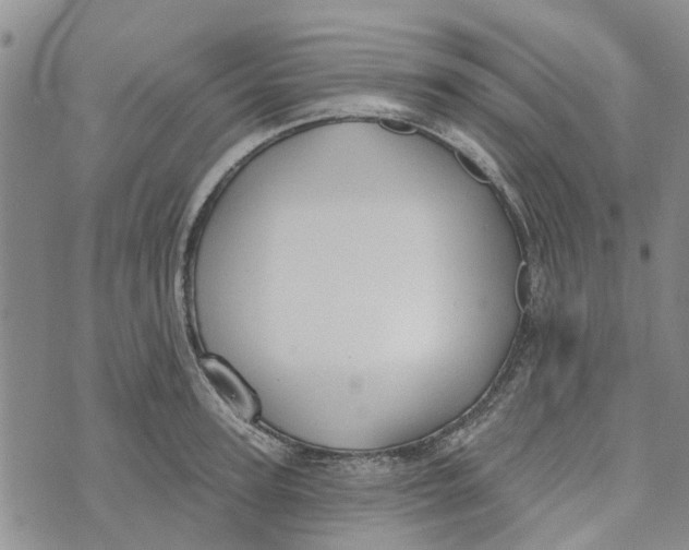 X0000072510947200608041503