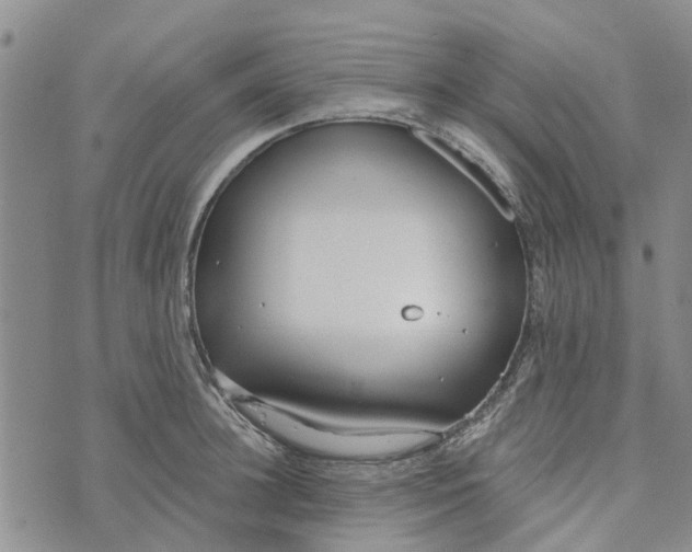 X0000072510948200608041503