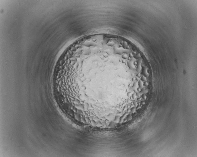 X0000072510949200608041503