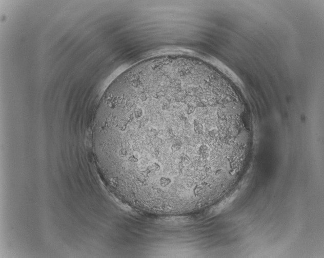 X0000072510953200608041503