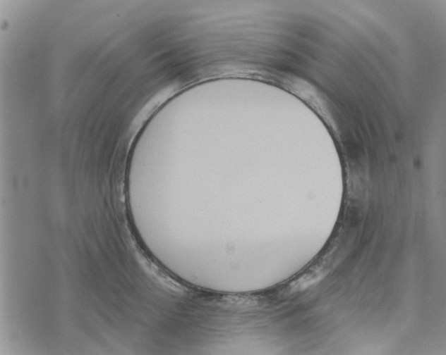 X0000072510954200608041503