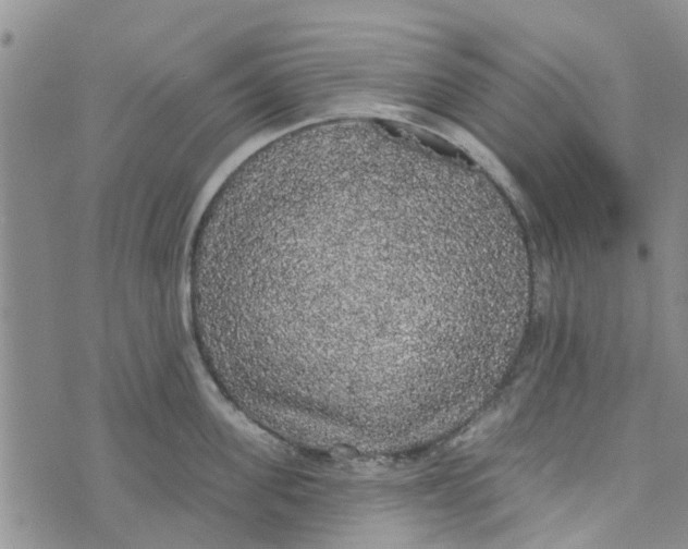 X0000072510955200608041503