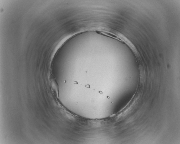 X0000072510956200608041503