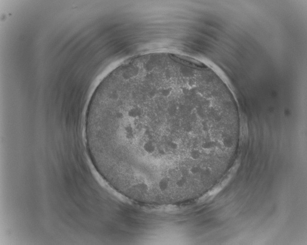 X0000072510957200608041503