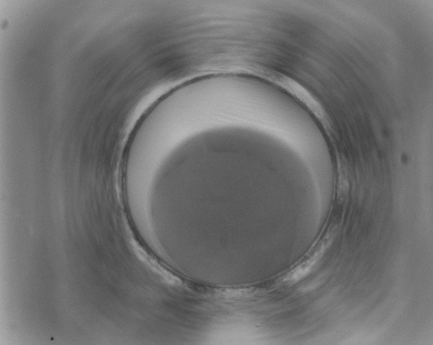 X0000072510958200608041503