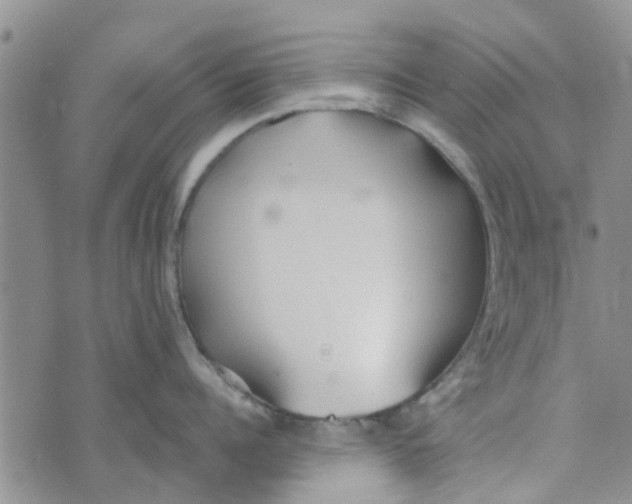 X0000072510960200608041503