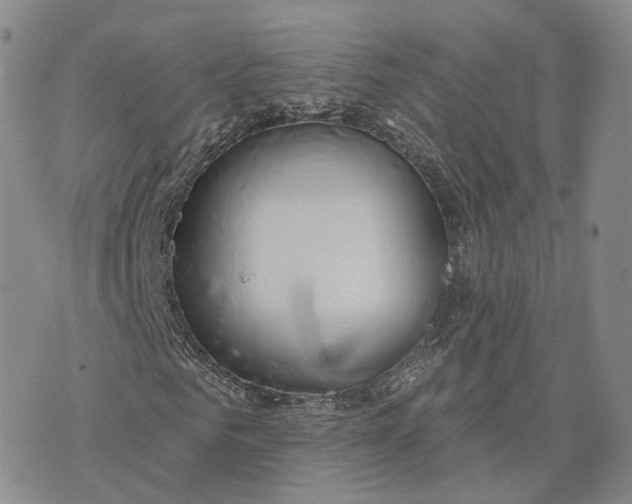 X0000072510961200608041502