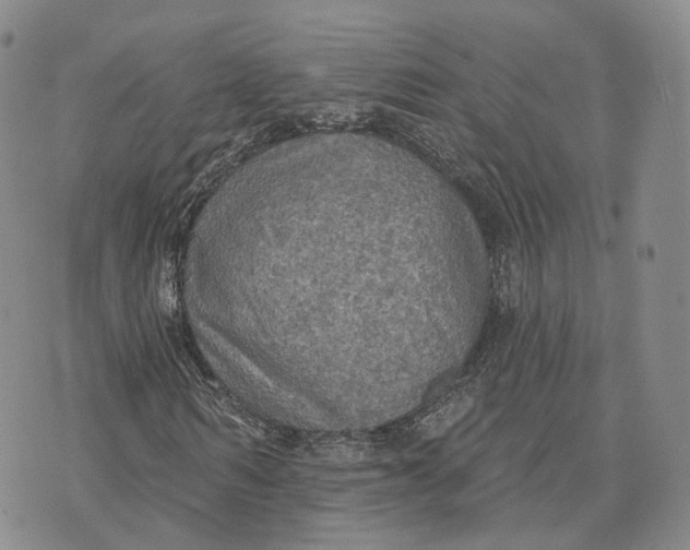 X0000072510962200608041502