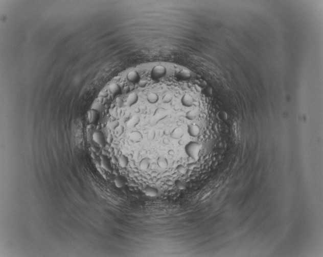 X0000072510963200608041502