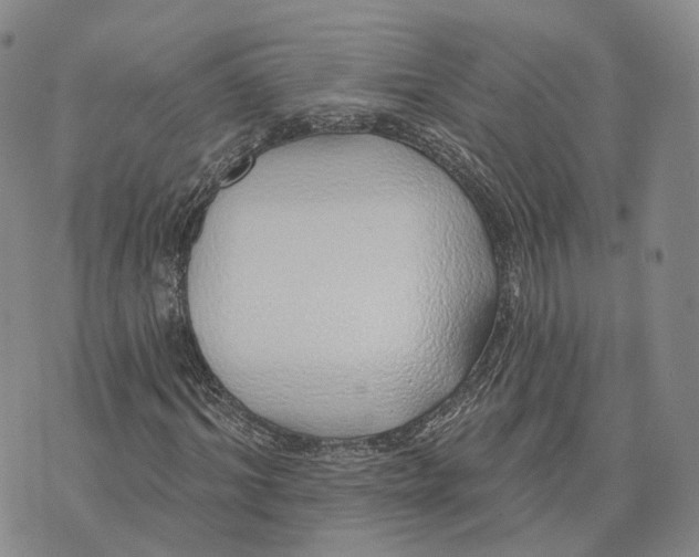 X0000072510964200608041502