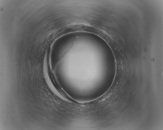 X0000072510965200608041502