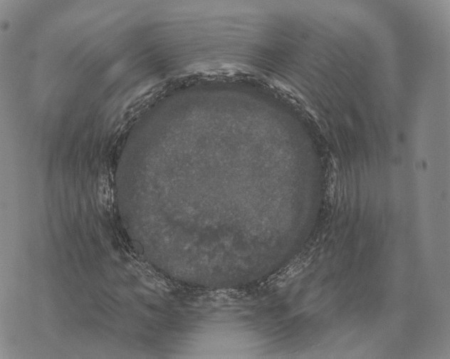 X0000072510966200608041502