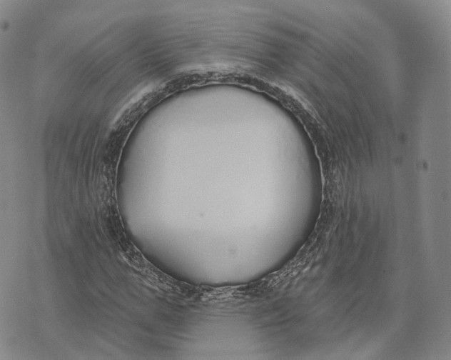 X0000072510967200608041502