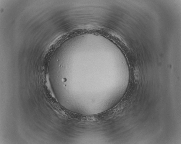 X0000072510968200608041502