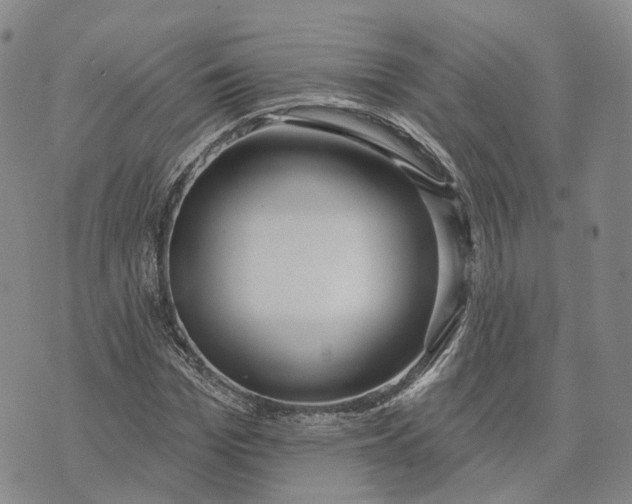 X0000072510969200608041502