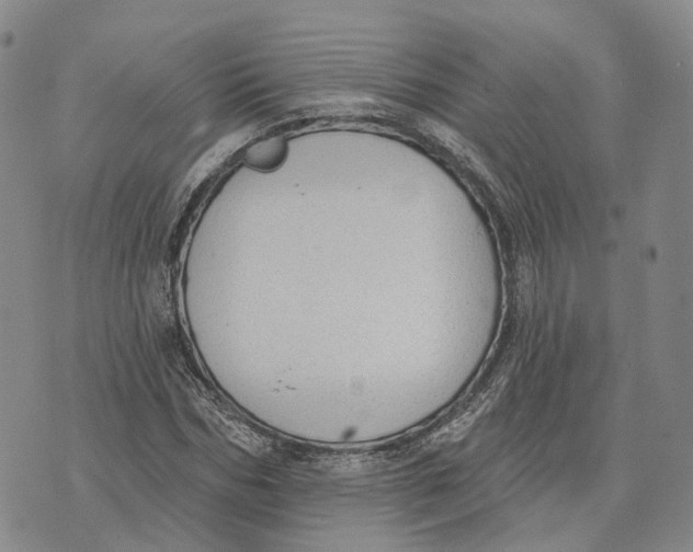 X0000072510970200608041502