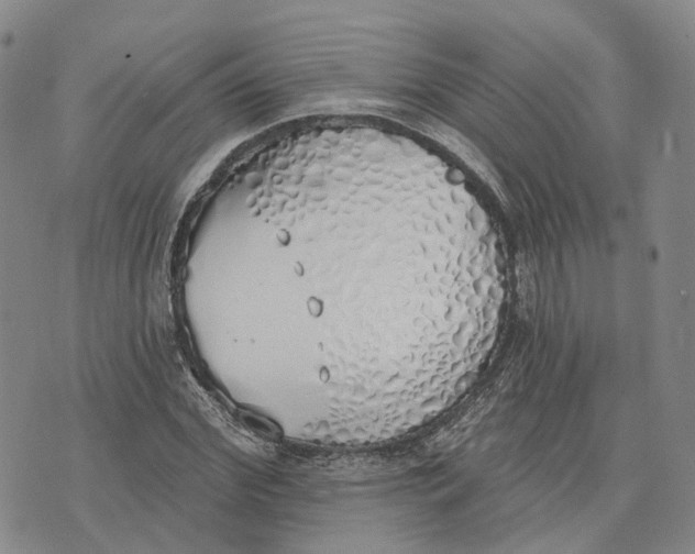 X0000072510972200608041502