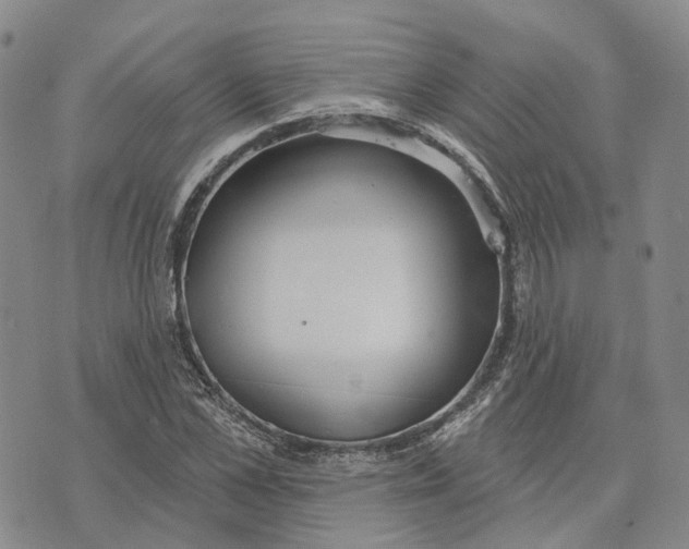 X0000072510973200608041502