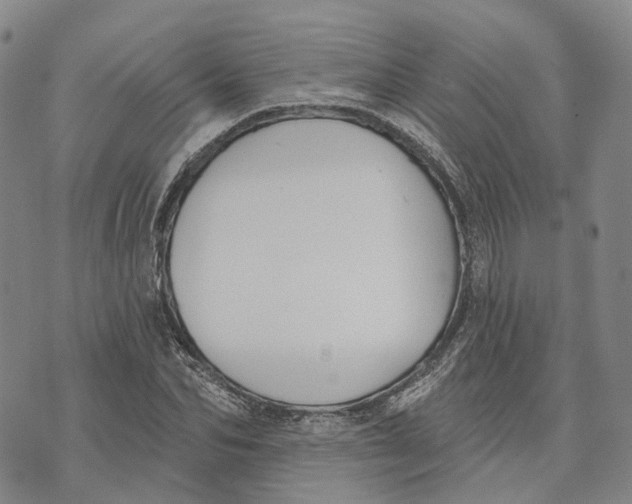 X0000072510974200608041502