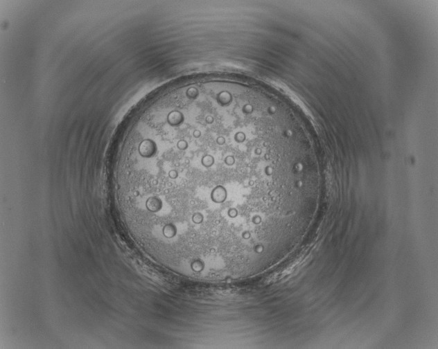 X0000072510975200608041502