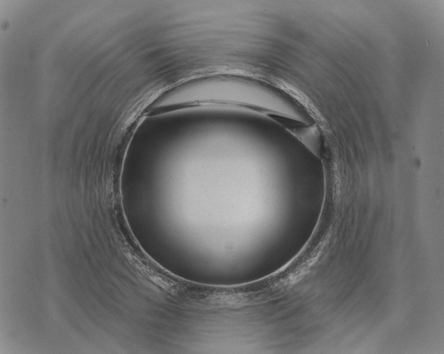 X0000072510977200608041502