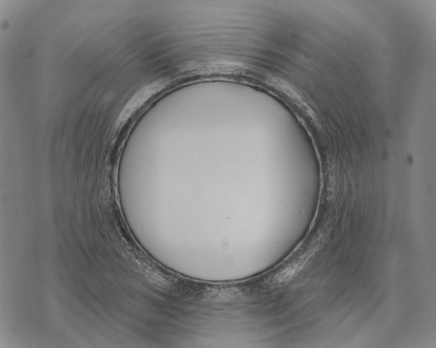 X0000072510978200608041502