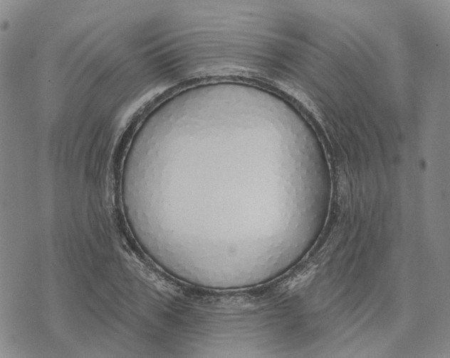 X0000072510979200608041502