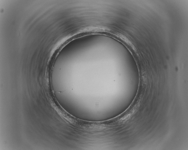 X0000072510981200608041502