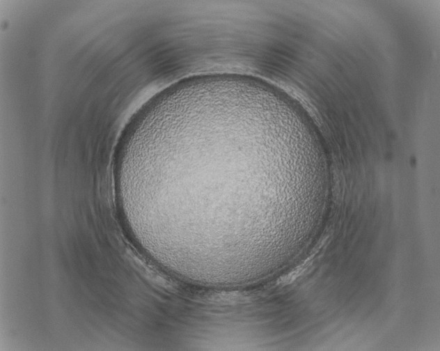 X0000072510982200608041502