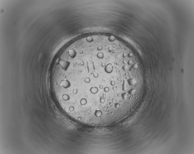 X0000072510983200608041502