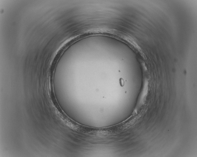 X0000072510984200608041502