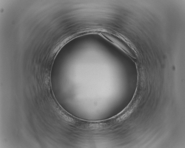 X0000072510985200608041502