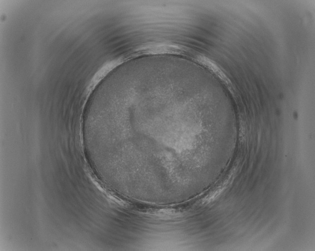 X0000072510986200608041502