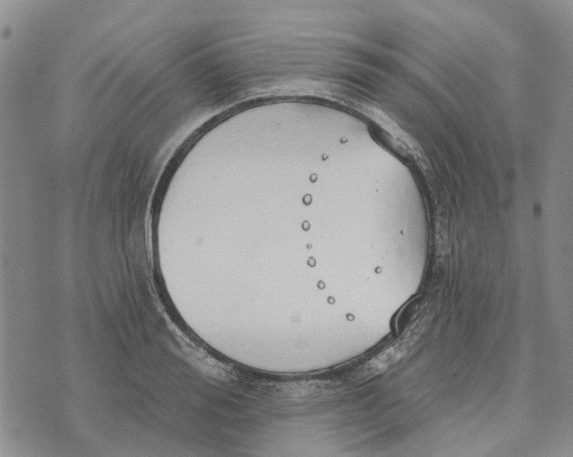 X0000072510988200608041502