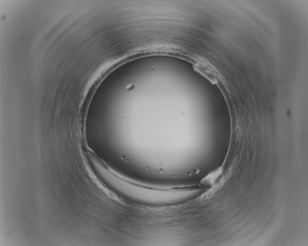 X0000072510989200608041502