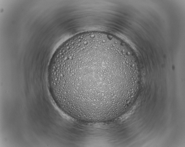 X0000072510991200608041502