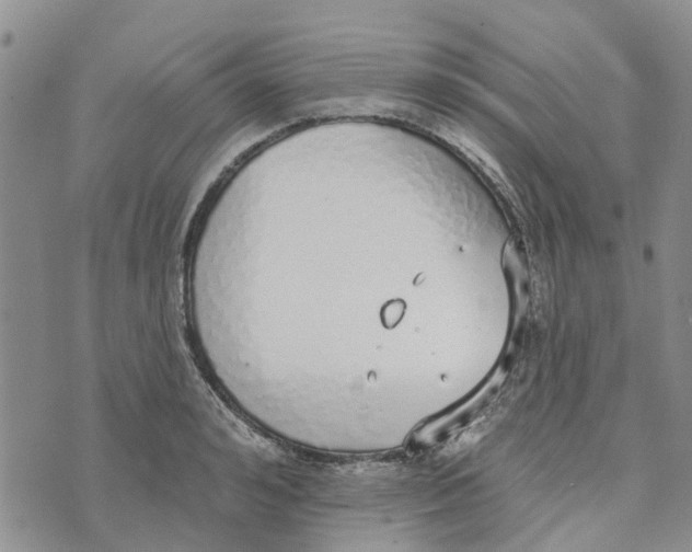 X0000072510992200608041502