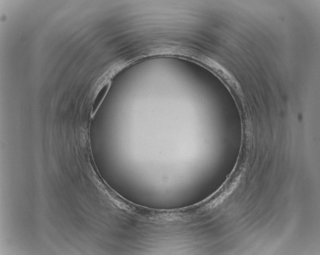 X0000072510993200608041502