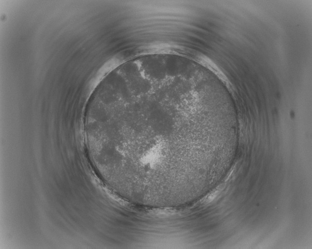 X0000072510994200608041502